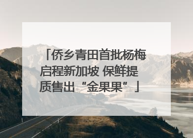 侨乡青田首批杨梅启程新加坡 保鲜提质售出“金果果”