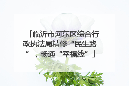 临沂市河东区综合行政执法局精修“民生路”，畅通“幸福线”
