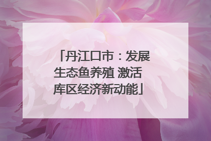 丹江口市：发展生态鱼养殖 激活库区经济新动能