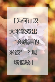 为何江汉大米能煮出“会跳舞的米饭”？现场揭秘