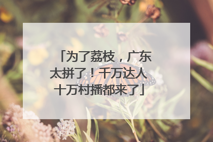 为了荔枝，广东太拼了！千万达人十万村播都来了