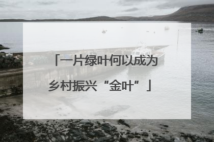 一片绿叶何以成为乡村振兴“金叶”