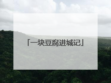 一块豆腐进城记