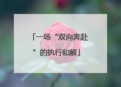 一场“双向奔赴”的执行和解