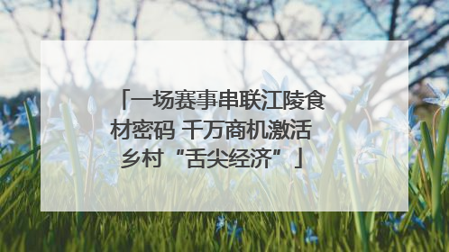 一场赛事串联江陵食材密码 千万商机激活乡村“舌尖经济”