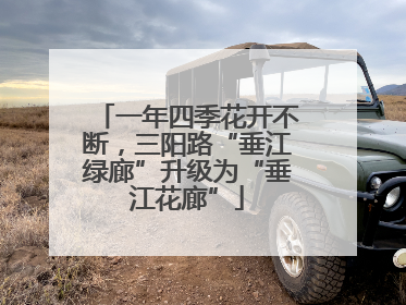 一年四季花开不断，三阳路“垂江绿廊”升级为“垂江花廊”
