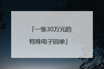 一张30万元的特殊电子回单