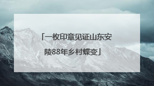 一枚印章见证山东安陵88年乡村蝶变