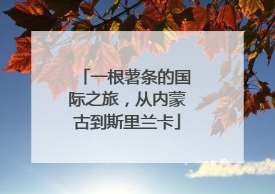 一根薯条的国际之旅，从内蒙古到斯里兰卡