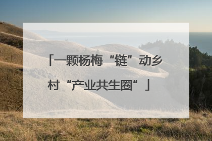 一颗杨梅“链”动乡村“产业共生圈”