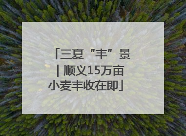 三夏“丰”景｜顺义15万亩小麦丰收在即