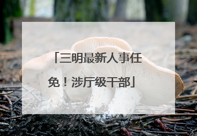 三明最新人事任免！涉厅级干部