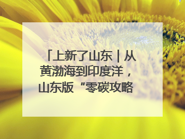 上新了山东｜从黄渤海到印度洋，山东版“零碳攻略”有多能打？
