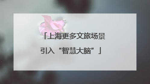 上海更多文旅场景引入“智慧大脑”