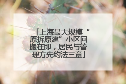 上海最大规模“原拆原建”小区回搬在即，居民与管理方先约法三章