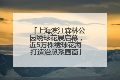 上海滨江森林公园绣球花展启幕，近5万株绣球花海打造治愈系画面