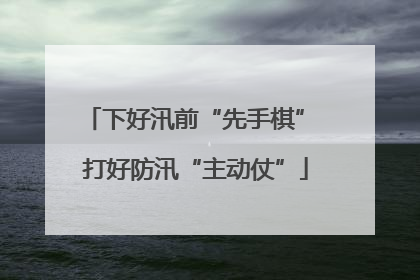 下好汛前“先手棋” 打好防汛“主动仗”