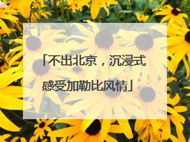 不出北京，沉浸式感受加勒比风情