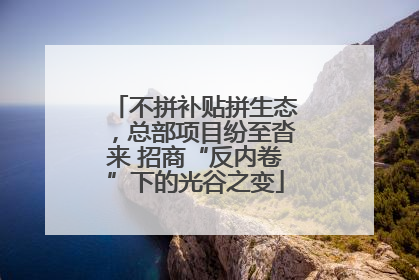 不拼补贴拼生态，总部项目纷至沓来 招商“反内卷”下的光谷之变