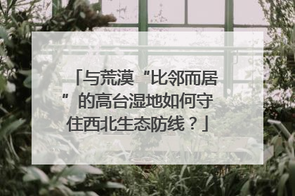 与荒漠“比邻而居”的高台湿地如何守住西北生态防线？