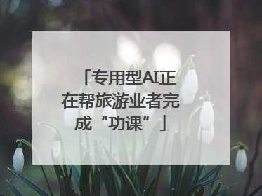 专用型AI正在帮旅游业者完成“功课”