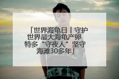 世界海龟日丨守护世界最大海龟产卵 特多“守夜人”坚守海滩30多年