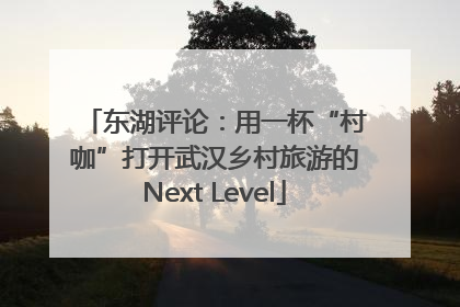 东湖评论：用一杯“村咖”打开武汉乡村旅游的Next Level