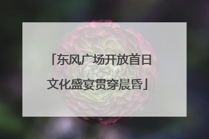东风广场开放首日 文化盛宴贯穿晨昏