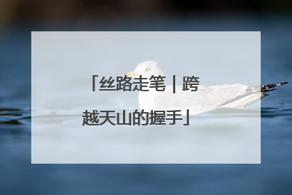 丝路走笔｜跨越天山的握手
