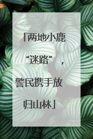 两地小鹿“迷路”，警民携手放归山林