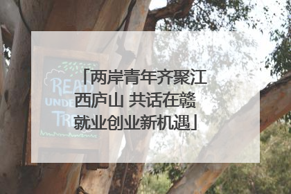 两岸青年齐聚江西庐山 共话在赣就业创业新机遇