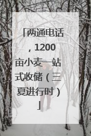 两通电话，1200亩小麦一站式收储（三夏进行时）