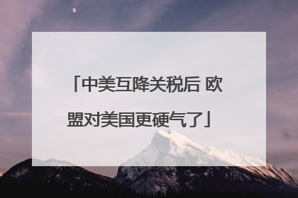 中美互降关税后 欧盟对美国更硬气了