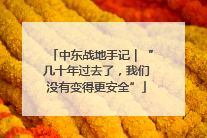 中东战地手记｜“几十年过去了，我们没有变得更安全”