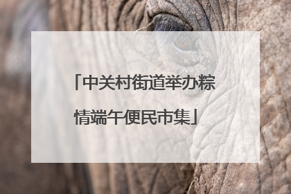 中关村街道举办粽情端午便民市集