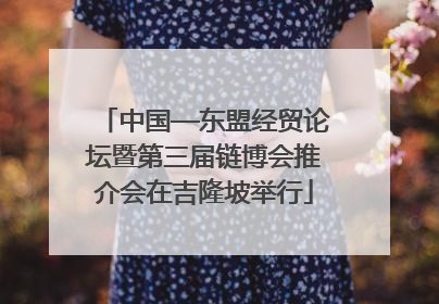 中国—东盟经贸论坛暨第三届链博会推介会在吉隆坡举行