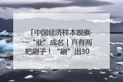 中国经济样本观察·一“业”成名｜真有两把刷子！“刷”出30亿级“颜值经济”