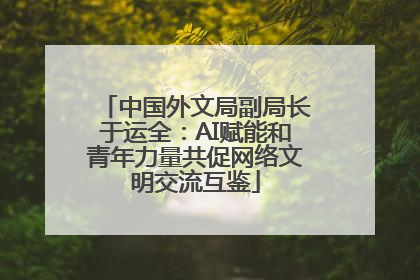 中国外文局副局长于运全：AI赋能和青年力量共促网络文明交流互鉴