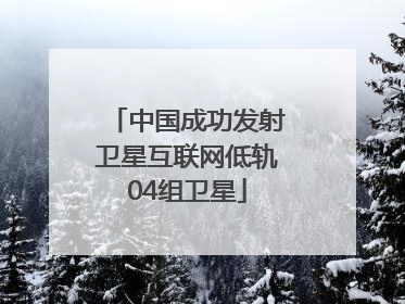 中国成功发射卫星互联网低轨04组卫星