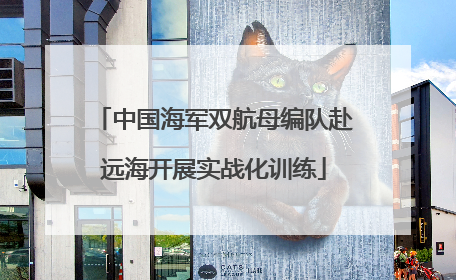 中国海军双航母编队赴远海开展实战化训练