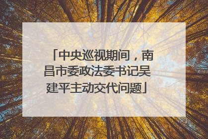中央巡视期间，南昌市委政法委书记吴建平主动交代问题