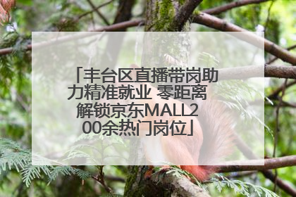 丰台区直播带岗助力精准就业 零距离解锁京东MALL200余热门岗位