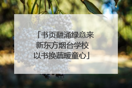 书页翻涌绿意来 新东方烟台学校以书换蔬暖童心