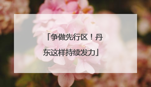争做先行区！丹东这样持续发力