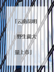 云南昆明：野生菌大量上市