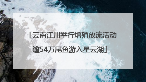 云南江川举行增殖放流活动 逾54万尾鱼游入星云湖