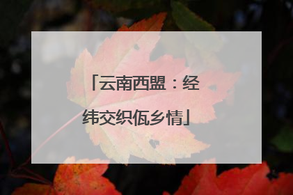 云南西盟：经纬交织佤乡情