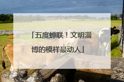 五度蝉联！文明淄博的模样最动人