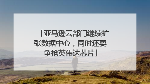 亚马逊云部门继续扩张数据中心，同时还要争抢英伟达芯片