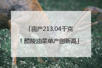 亩产213.04千克！醴陵油菜单产创新高